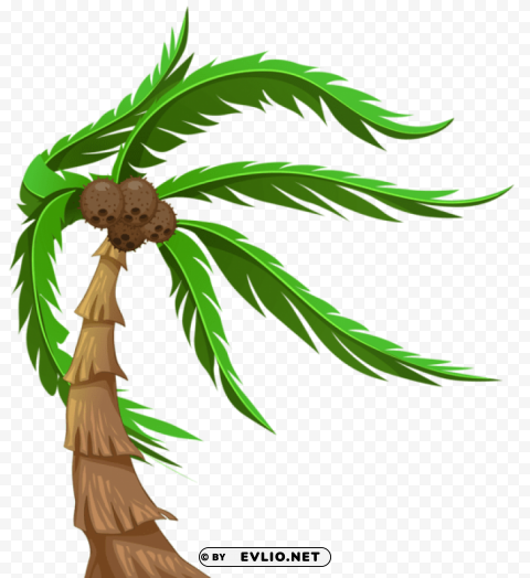 Palm With Coconuts Transparent Isolated Graphic On Clear PNG