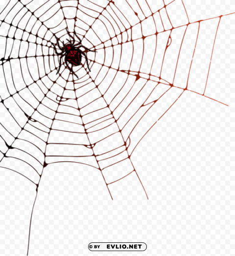 spider web PNG transparent backgrounds png images background -  image ID is 66b4642d