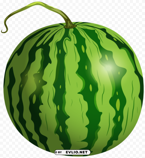 watermelon Transparent Background Isolated PNG Art