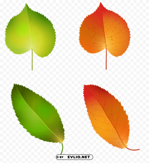 autumn leaves set Transparent Background PNG Object Isolation