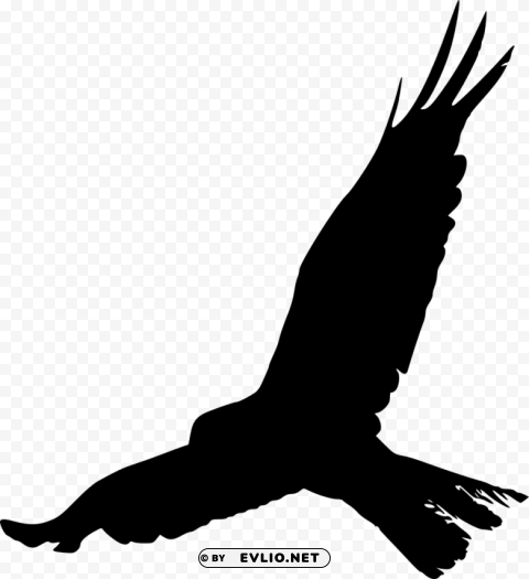 bird silhouette PNG Image Isolated with Clear Background