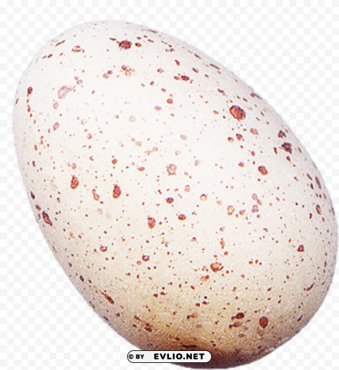 eggs Transparent PNG Isolated Object with Detail