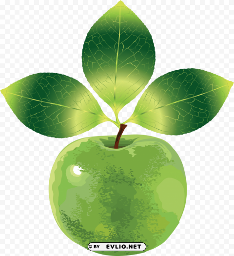 green apple's PNG with Isolated Transparency clipart png photo - 8e84ae32