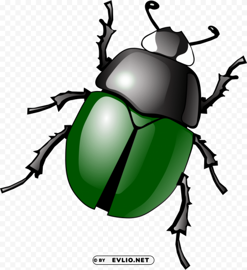 green bug Isolated Item in HighQuality Transparent PNG