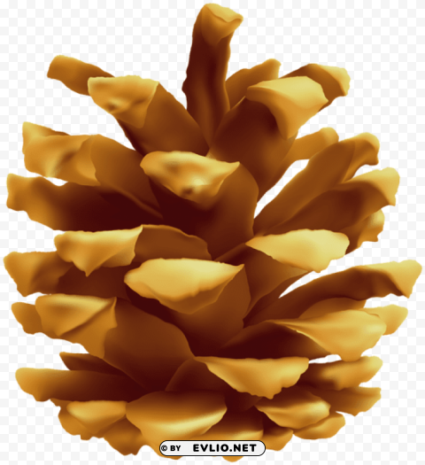 pinecone High-resolution PNG images with transparency wide set