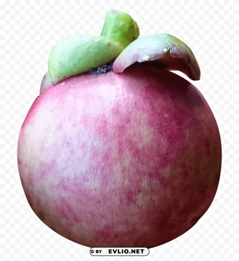 Purple Mangosteen Isolated Subject in Clear Transparent PNG