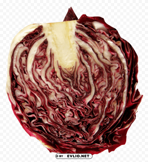 radicchio PNG Graphic with Transparent Background Isolation