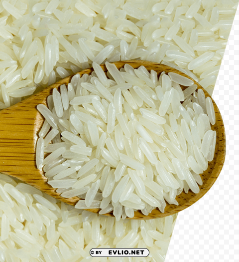 rice download PNG with isolated background