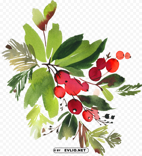 snowman watercolor flowers - christmas berry watercolor Isolated Design on Clear Transparent PNG