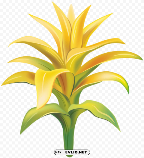 yellow exotic flower transparent Free PNG images with alpha channel