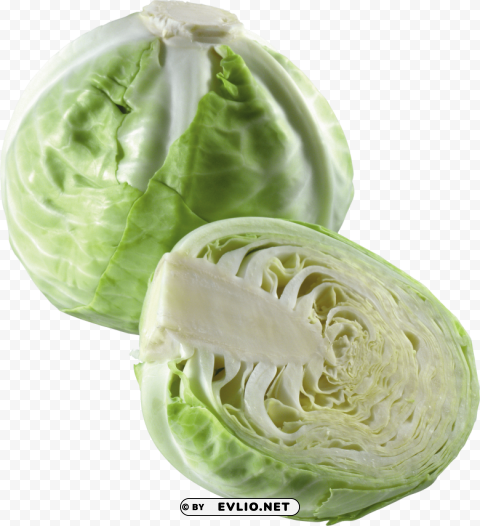 cabbage PNG picture