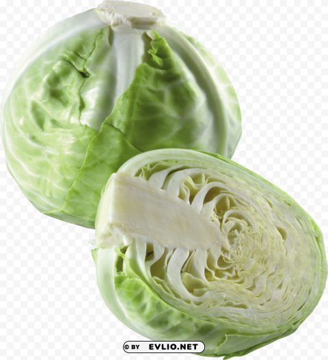 Cabbage PNG Picture