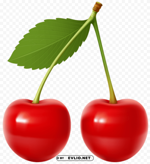 cherries PNG transparent graphics for projects