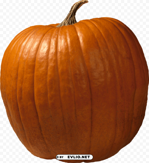 pumpkin PNG with alpha channel for download