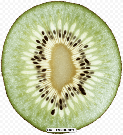 kiwi Free PNG images with transparent backgrounds PNG images with transparent backgrounds - Image ID b3e49007
