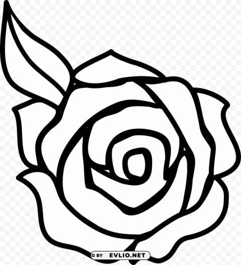  rose outline s Isolated Design Element in Transparent PNG