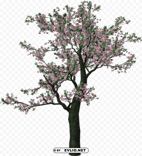 large spring tree Isolated Illustration in HighQuality Transparent PNG
