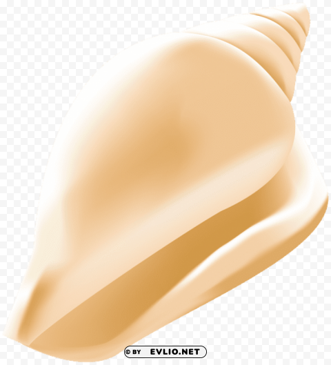 conch shell Background-less PNGs