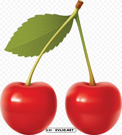cherrys Clear Background Isolated PNG Object