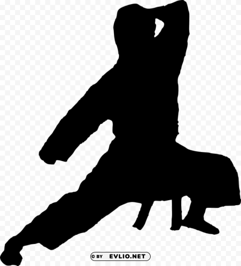 karate silhouette PNG images with transparent canvas variety