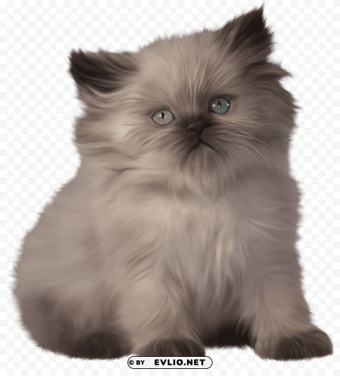 kitten PNG Image with Clear Background Isolation