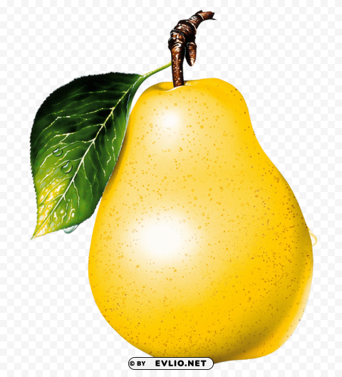 pear PNG Isolated Design Element with Clarity