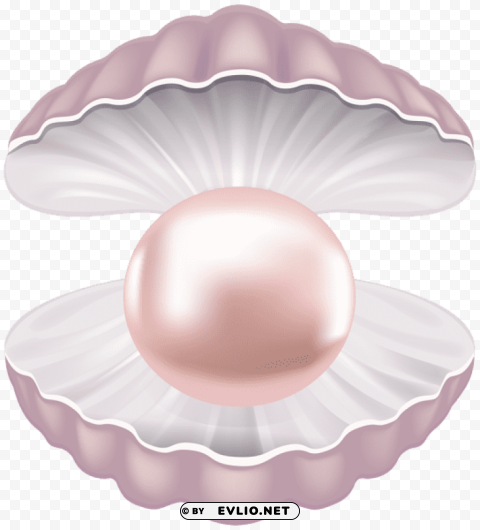 Pearl Shell PNG Transparent Designs