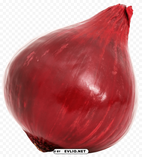 Red Onion Bulb PNG cutout