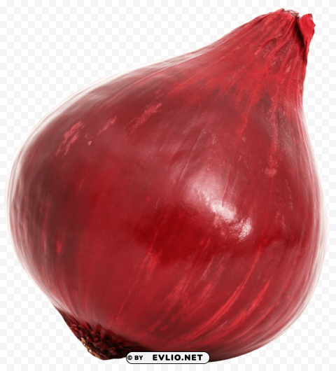 Red Onion Bulb PNG Cutout