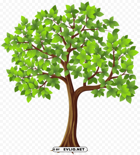 tree HighQuality Transparent PNG Isolated Element Detail