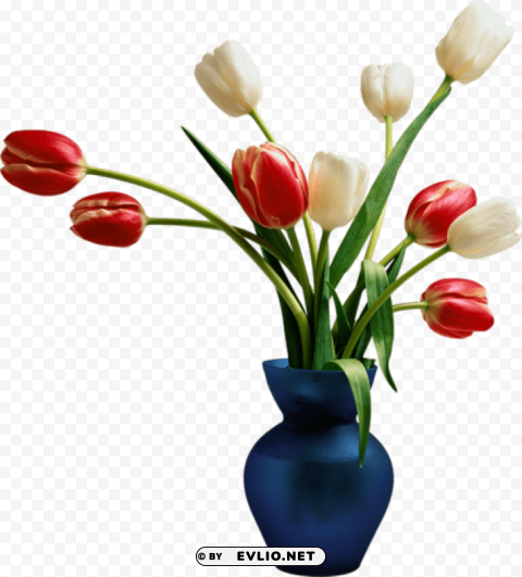 blue vase with tulips Transparent pics