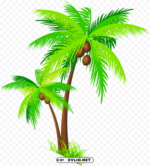 coconut trees PNG transparency