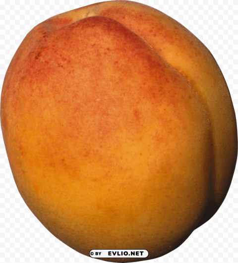 peach PNG images with transparent canvas compilation