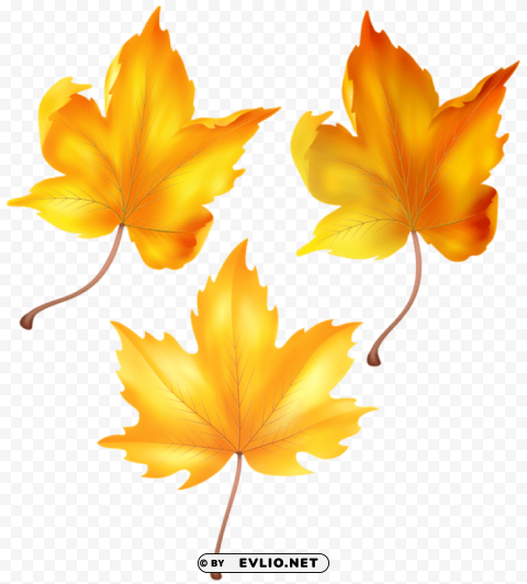 beautiful autumn leaves Isolated Graphic on Transparent PNG