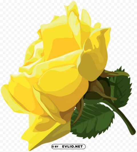 yellow rose Transparent PNG graphics complete archive