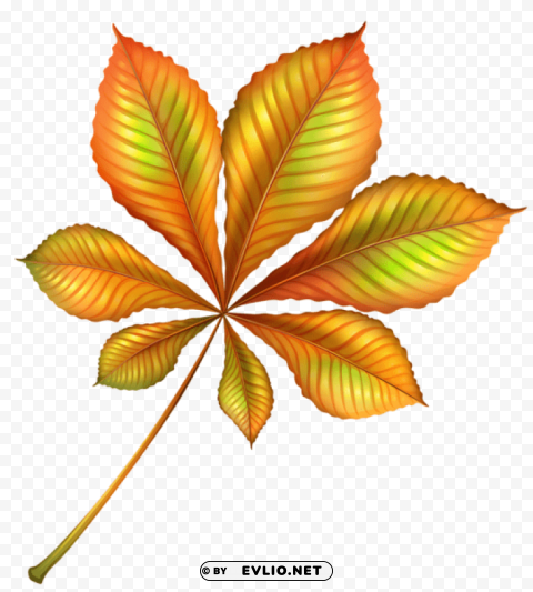 beautiful autumn orange leaf Isolated Object in Transparent PNG Format