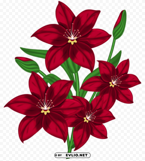 nice red flower High-resolution PNG images with transparency wide set