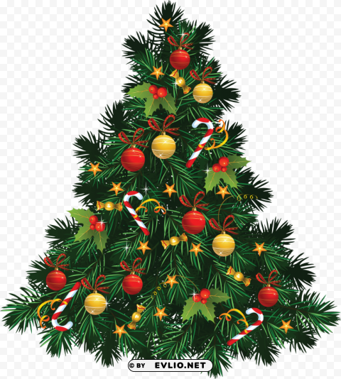 christmas tree ima Isolated PNG on Transparent Background