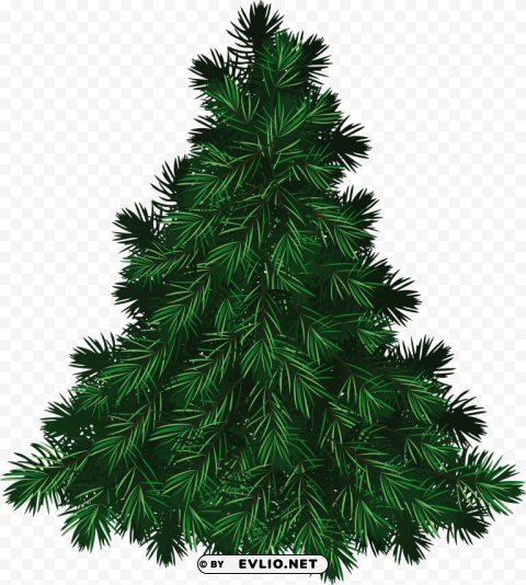 fir tree Isolated Design Element in Clear Transparent PNG