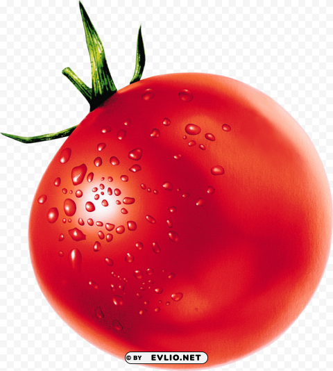 tomato Isolated Illustration on Transparent PNG clipart png photo - 542e5172