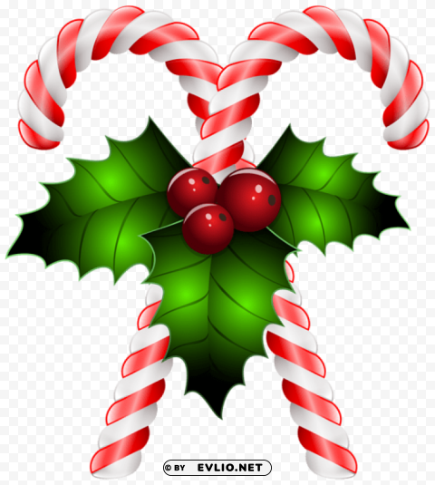 candy canes with holly transparent PNG Isolated Illustration with Clear Background