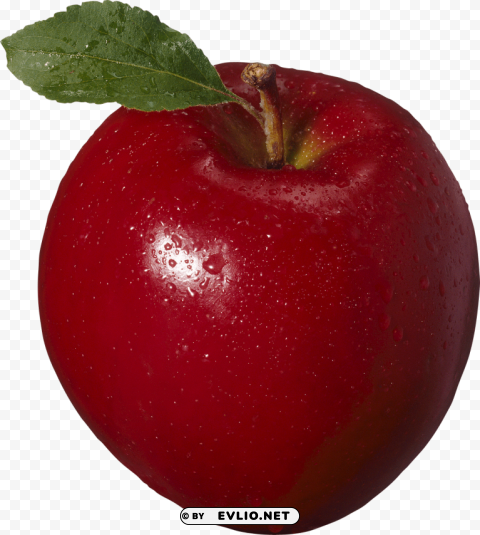 red apple Transparent PNG stock photos