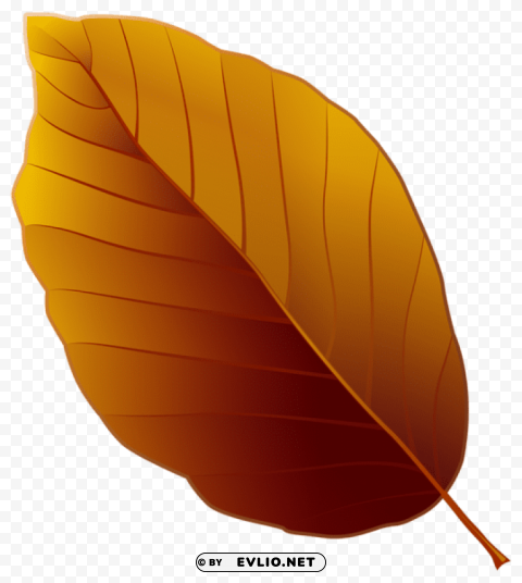 autumn leaf Isolated Subject on HighQuality Transparent PNG