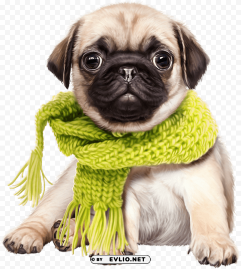 cute dog PNG transparent pictures for projects