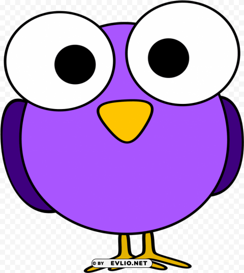 googly eye bird PNG images with no background comprehensive set