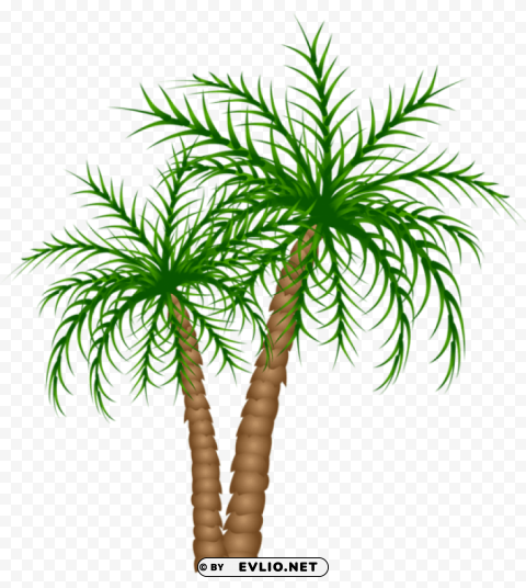 palm treespicture Isolated Design Element on PNG