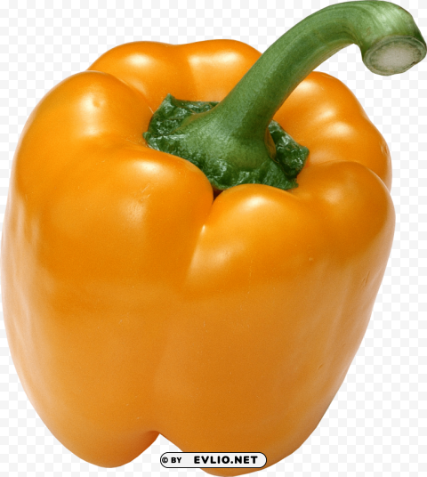 pepper PNG for web design PNG images with transparent backgrounds - Image ID 0633f7de