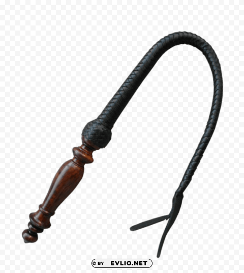 Whip Isolated Artwork In HighResolution Transparent PNG