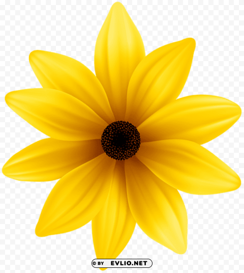 Yellow Flower PNG File With Alpha