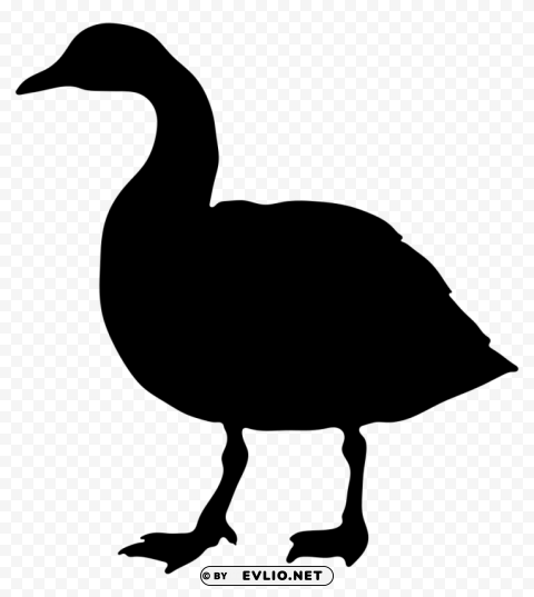 goose HighResolution Transparent PNG Isolated Item